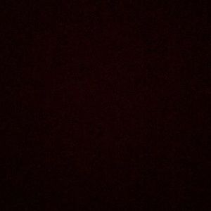 Meet your Posher, Dustin